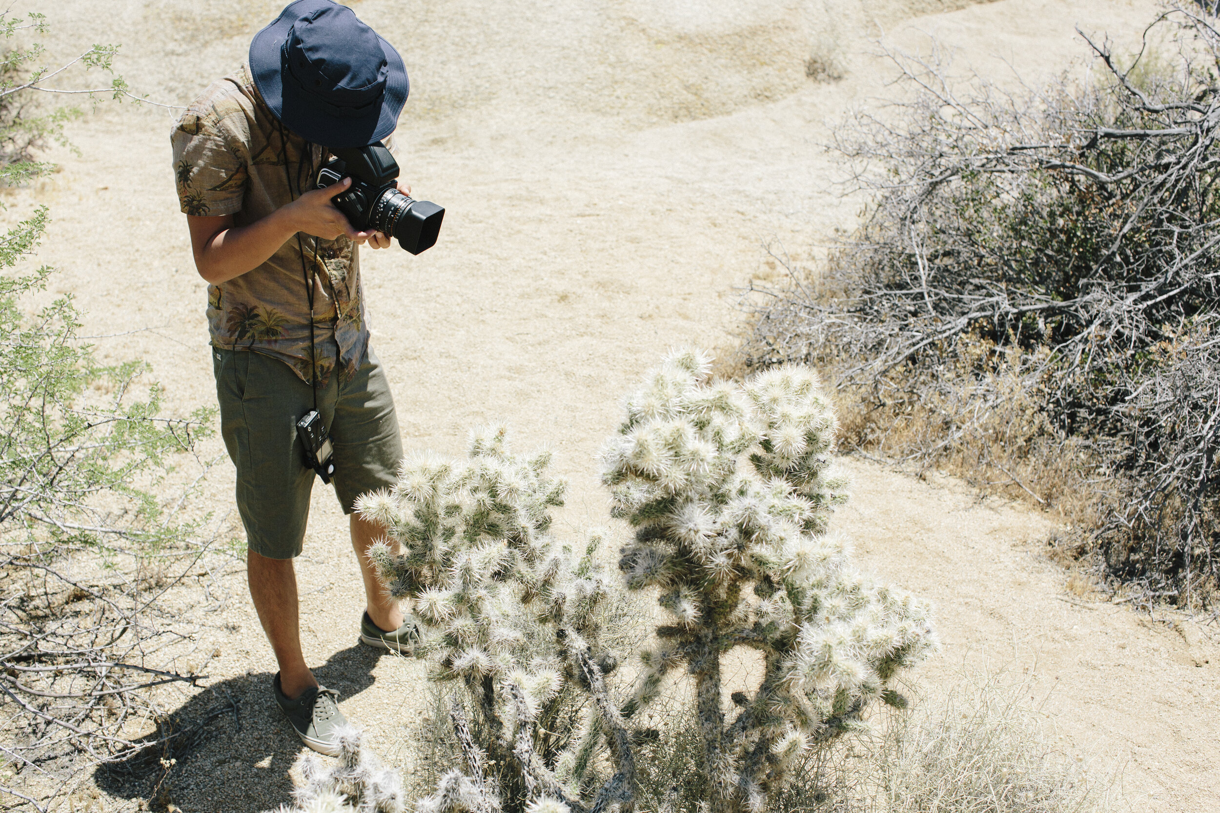 joshuatree-1001.jpg
