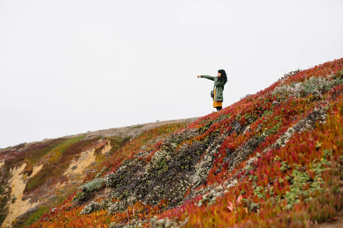 bay area 2014-1018.jpg