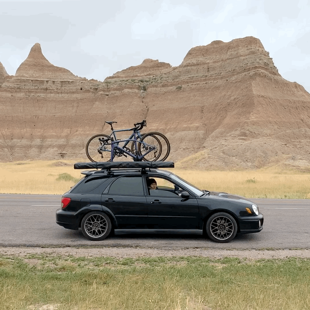 2021-03-04 06:33:05 +0000.GIF