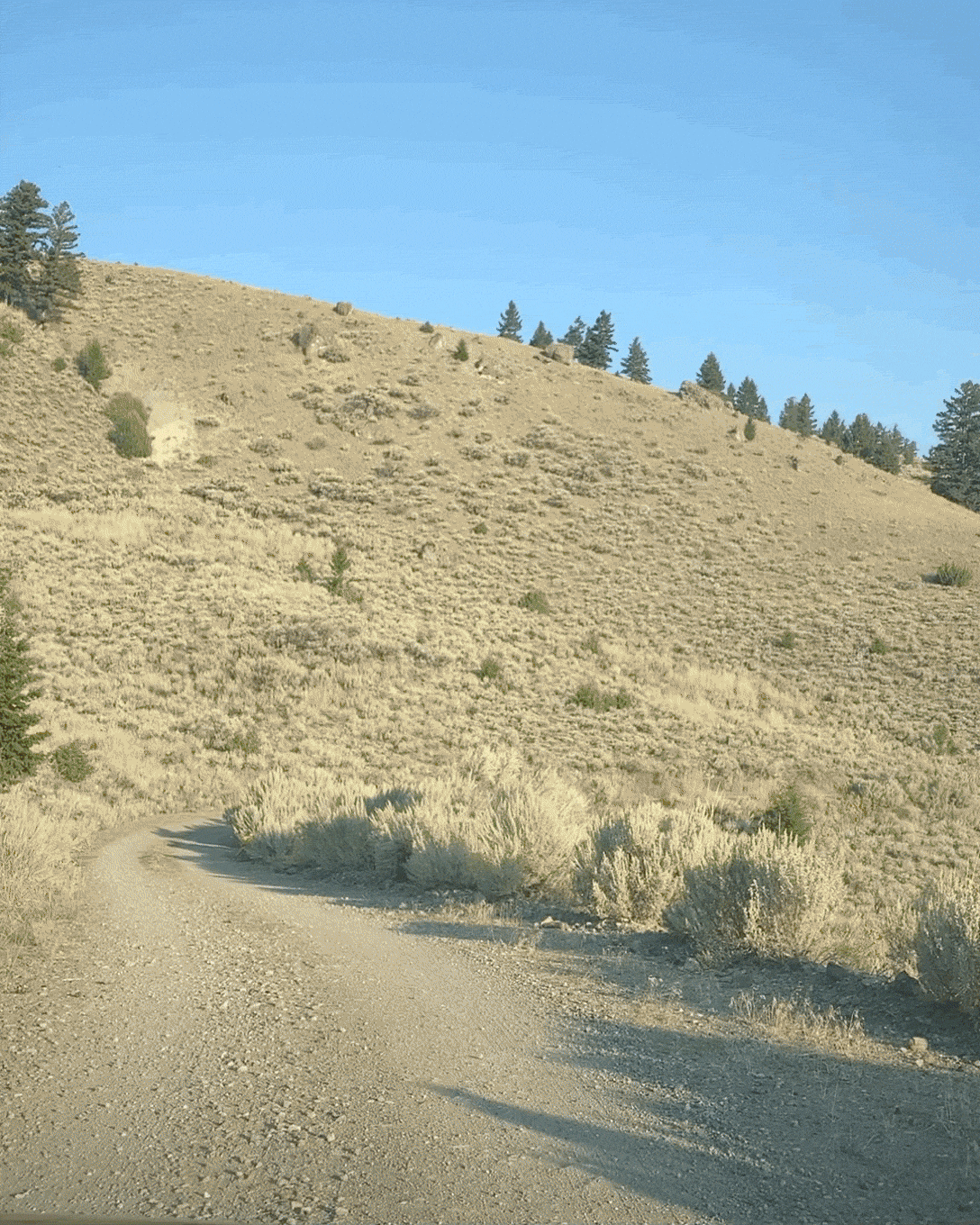 2021-03-04-06_21_25-+0000.gif