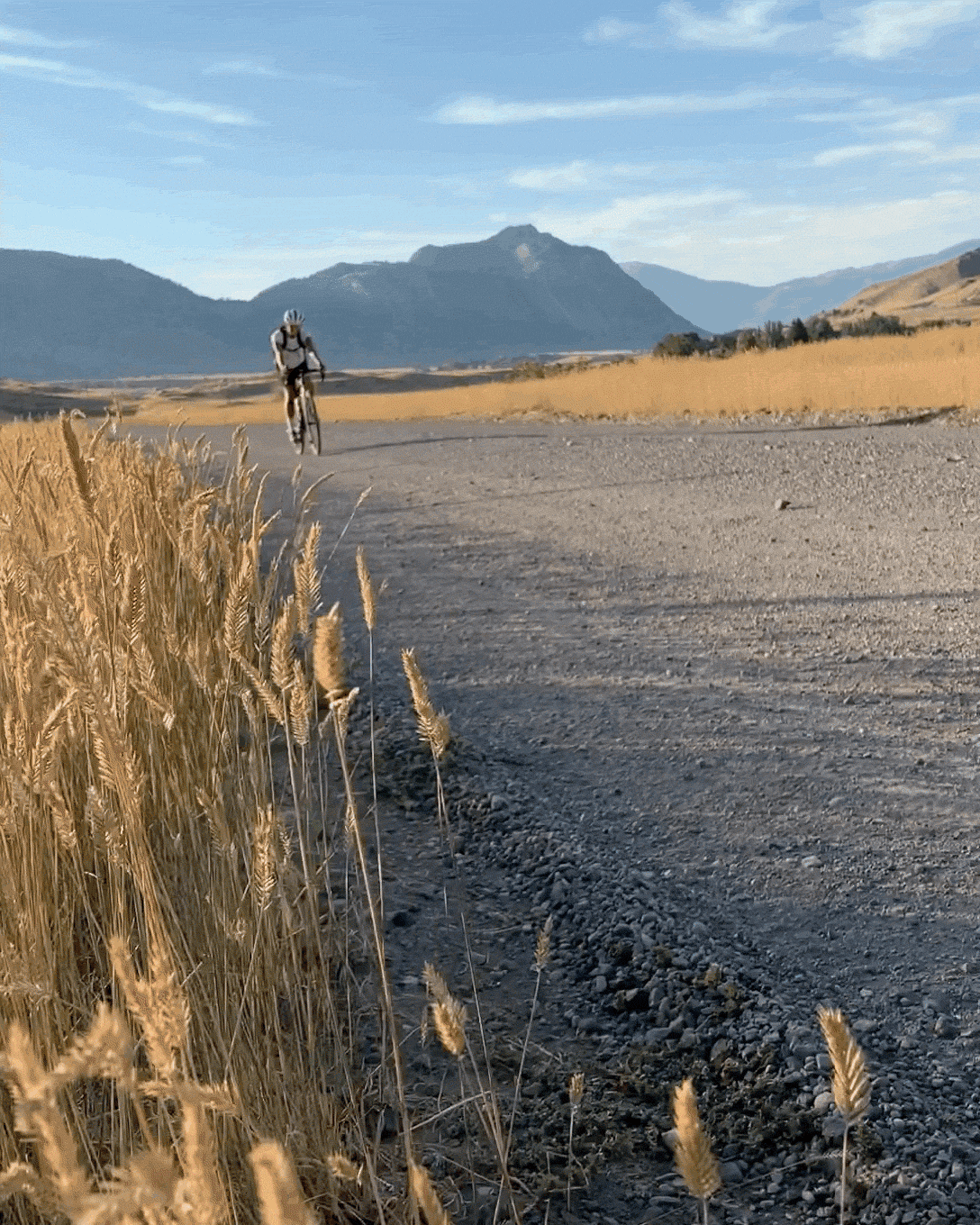 2021-03-04-06_10_57-+0000.gif