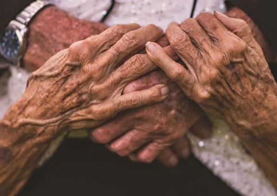 Pages from Rosa — visual document 9Mar20.jpg