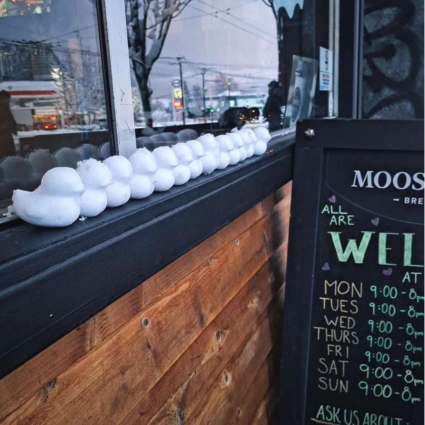 We have all our ducks in a row! The snow doesn't stop us. ❄️