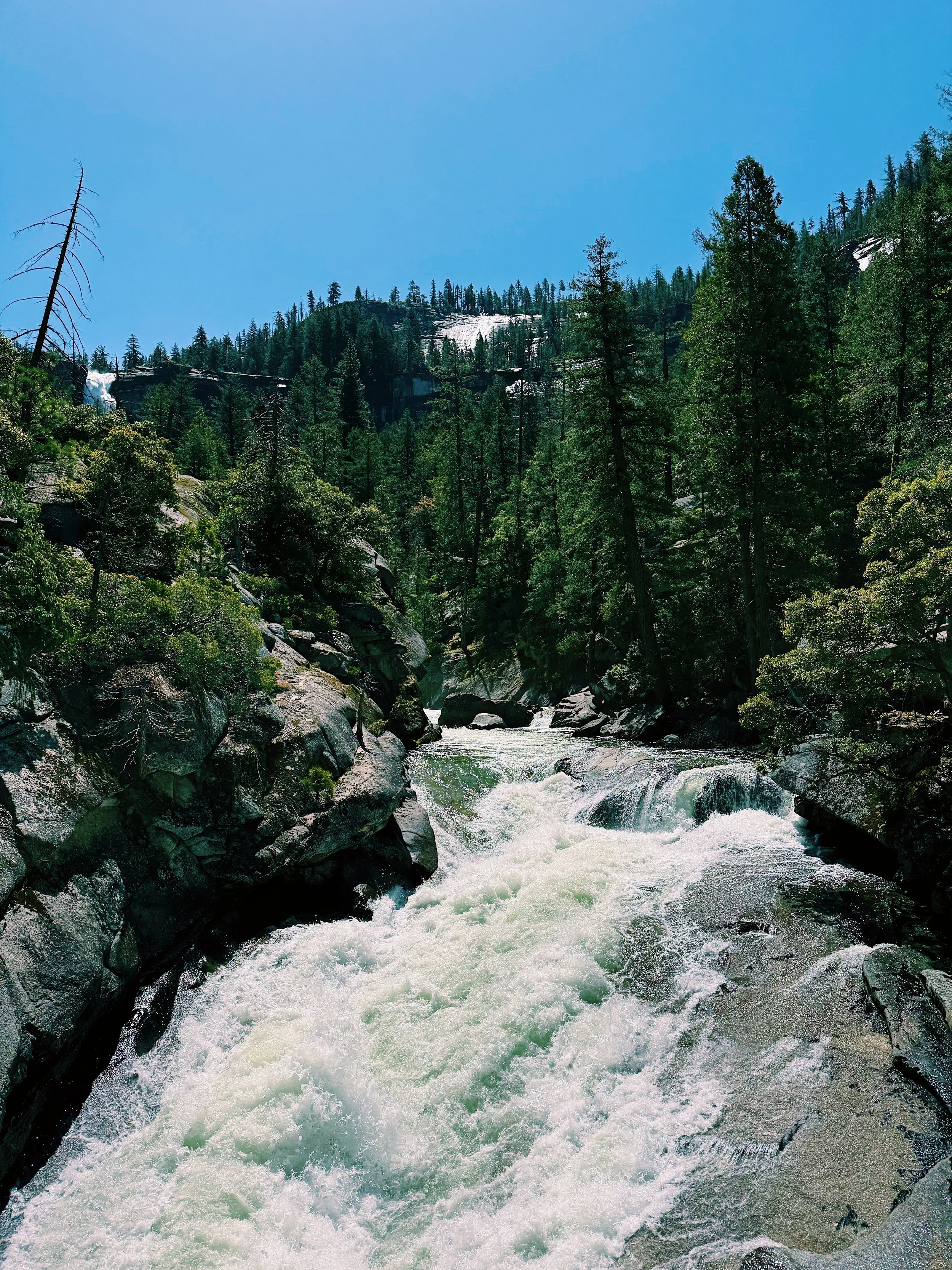 16B936D6-44A8-438D-9709-51A29664657F 2.JPG