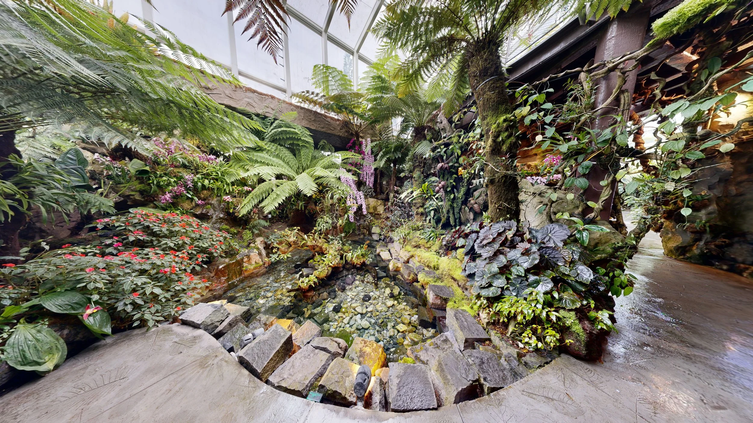 National-Orchid-Garden-10302023_165301.jpg