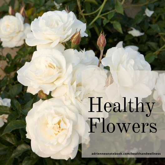 Healthy Flowers