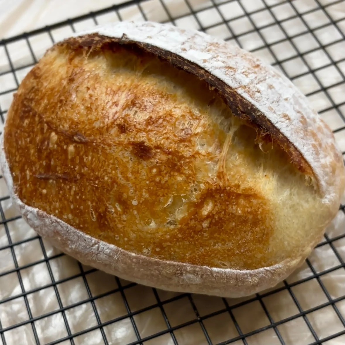 酸種麵包 Sourdough