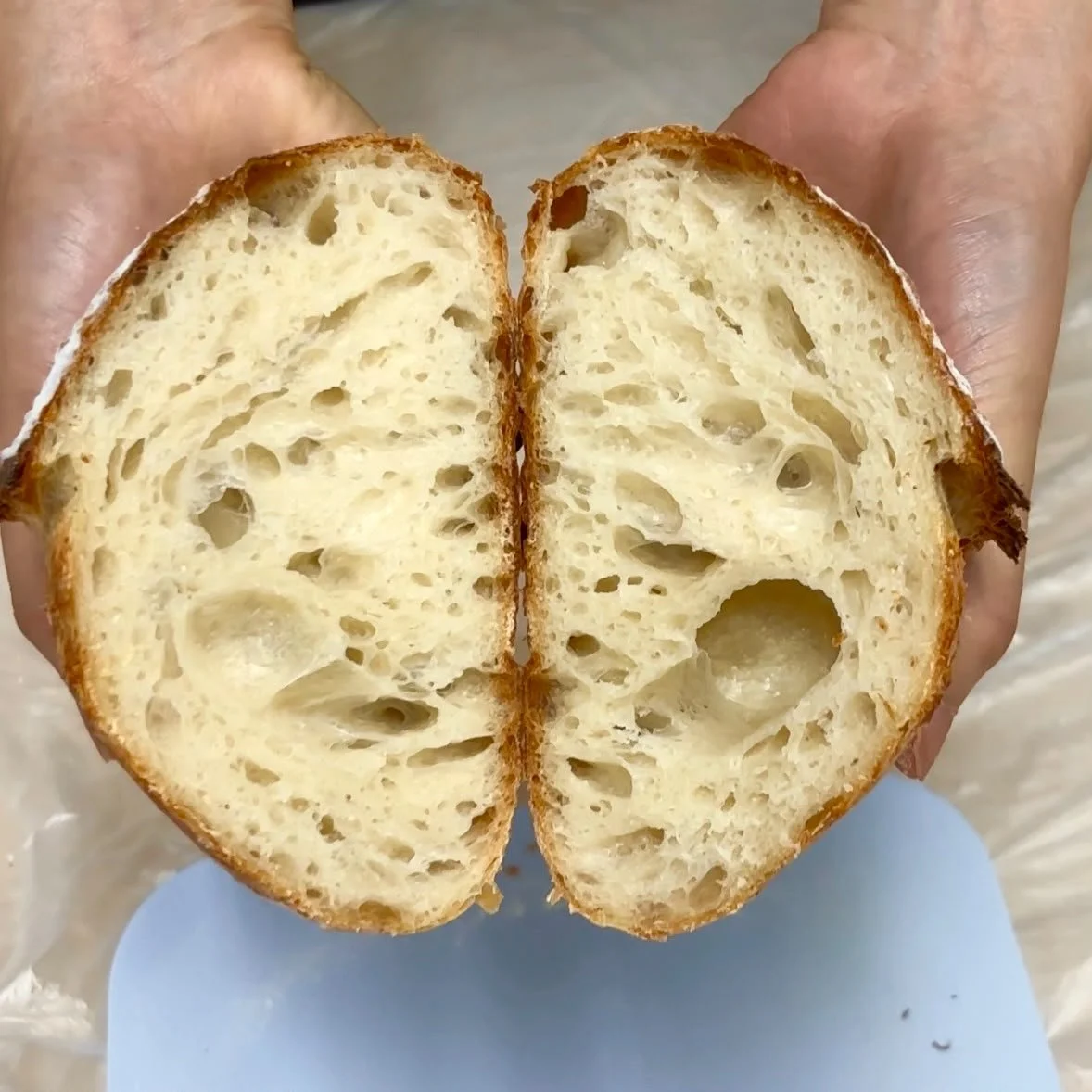 酸種麵包 Sourdough