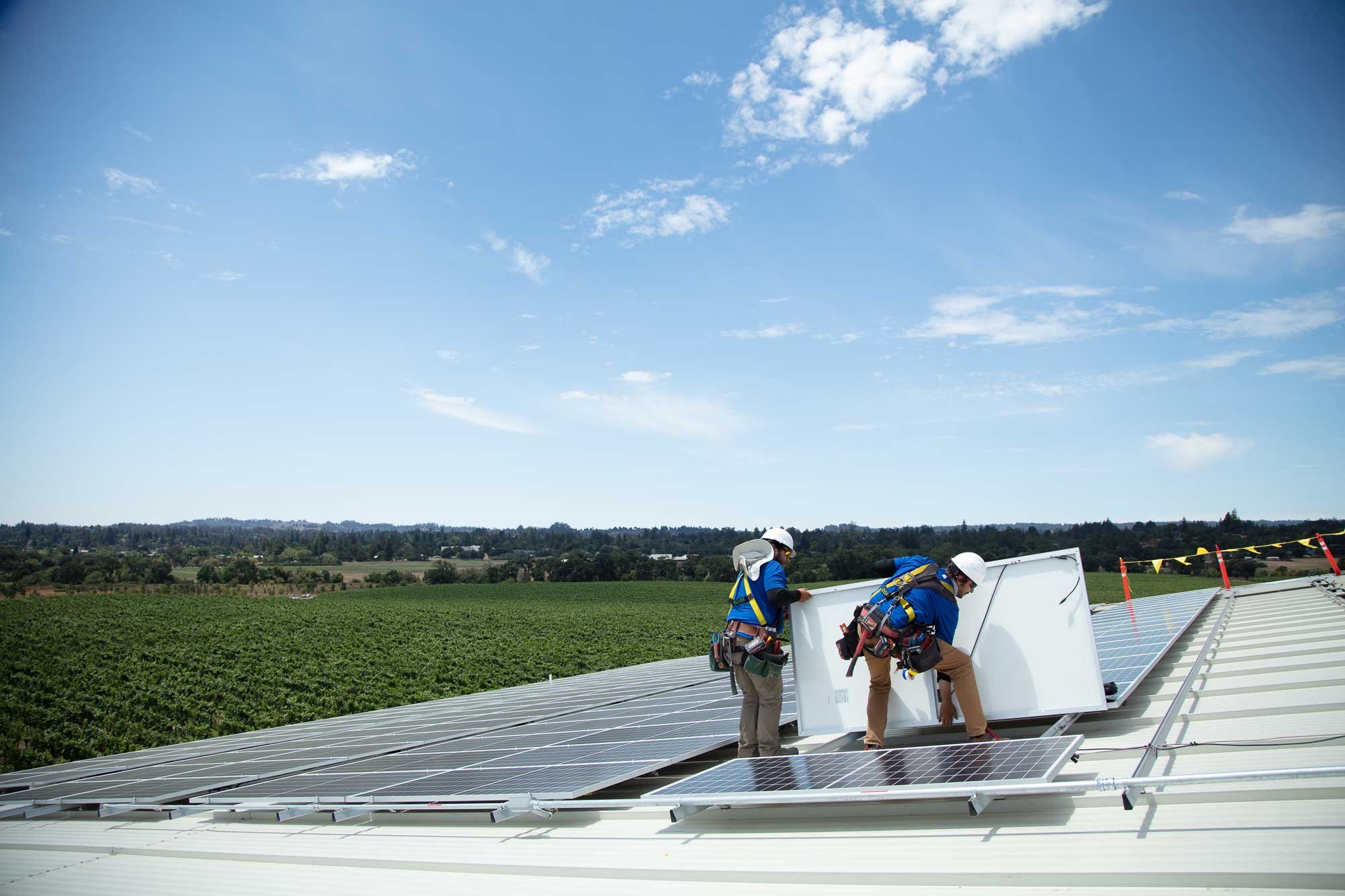 Sonoma County rooftop solar installers at Balletto Vineyards