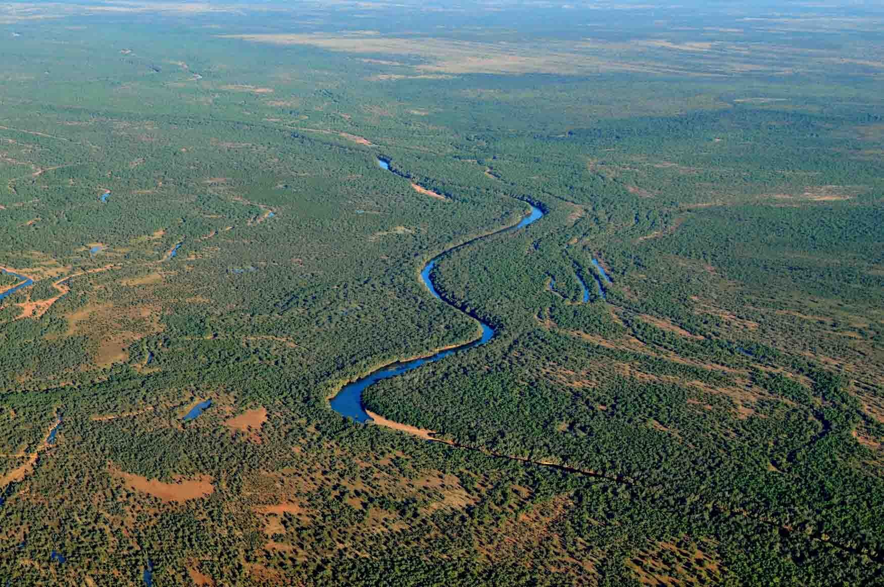 The Fitzroy River and its branches hold considerable heritage and conservation value, but its floodplains also have appeal for large scale irrigation interests. (Image by Magali McDuffie)