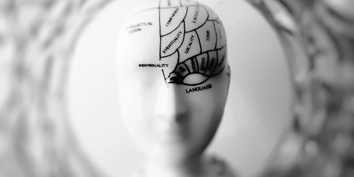 Reinvention and The Function of Humankind