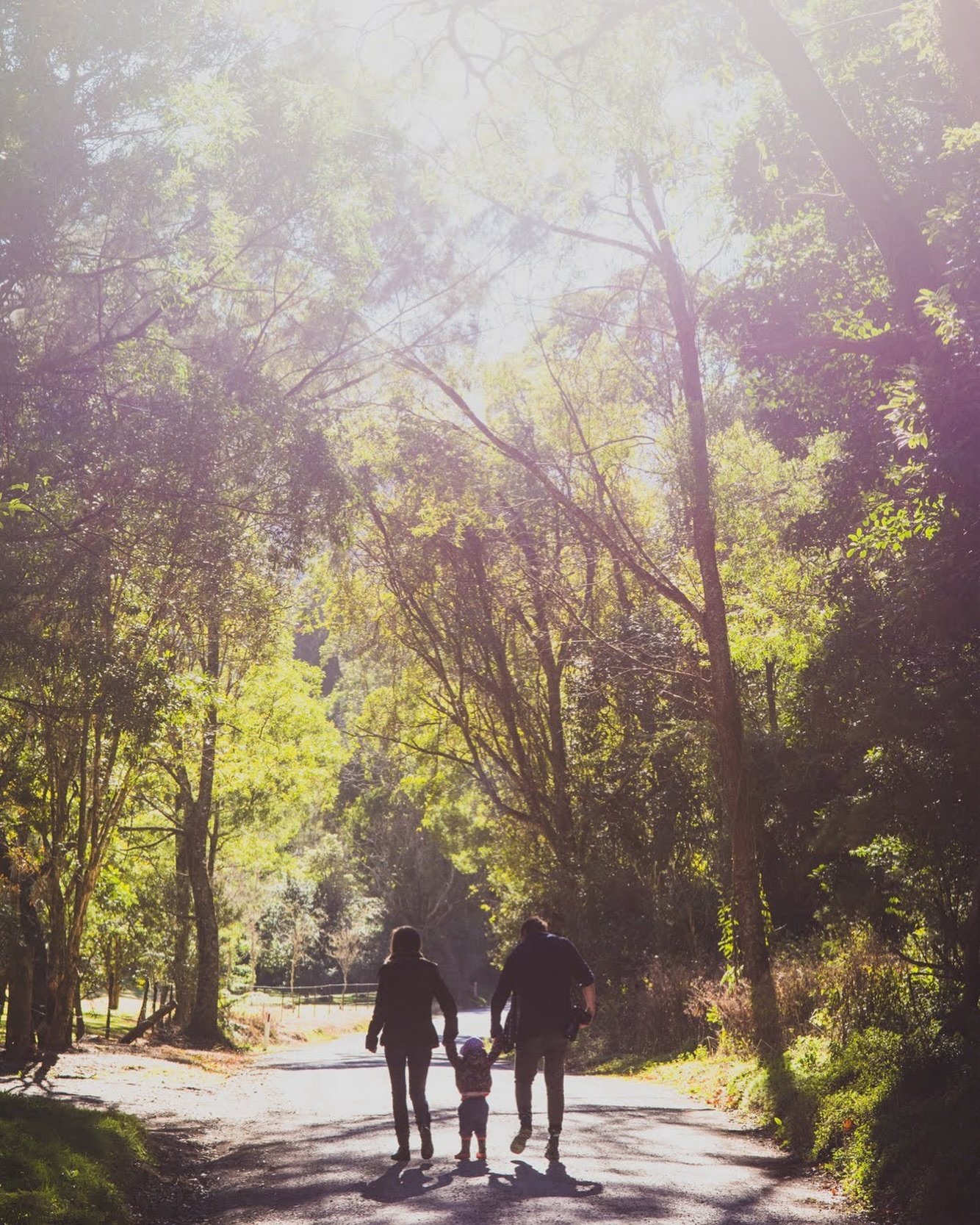 Into the woods we go&hellip; something as simple as a stroll down a country road in beautifully soft golden light results in gorgeous photos. On second thought, maybe it&rsquo;s not that simple! But when it all comes together, it&rsquo;s perfect. 

#