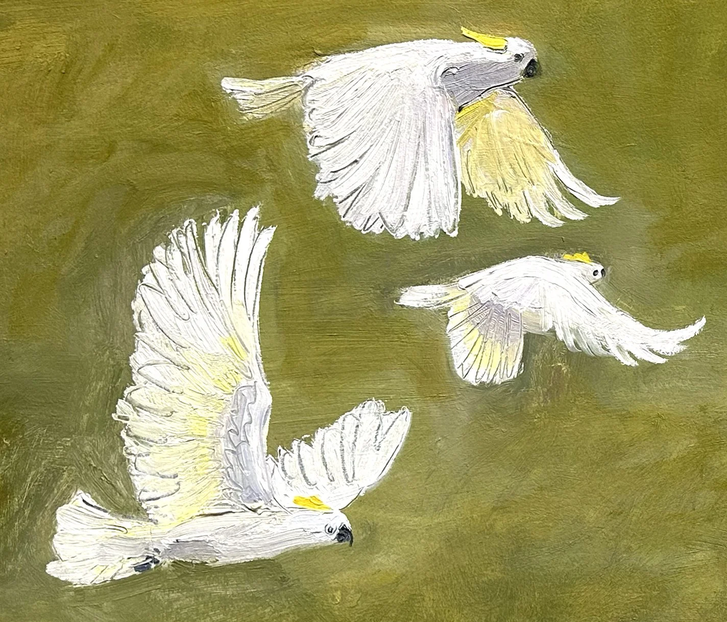 fast as the birds detail.jpg