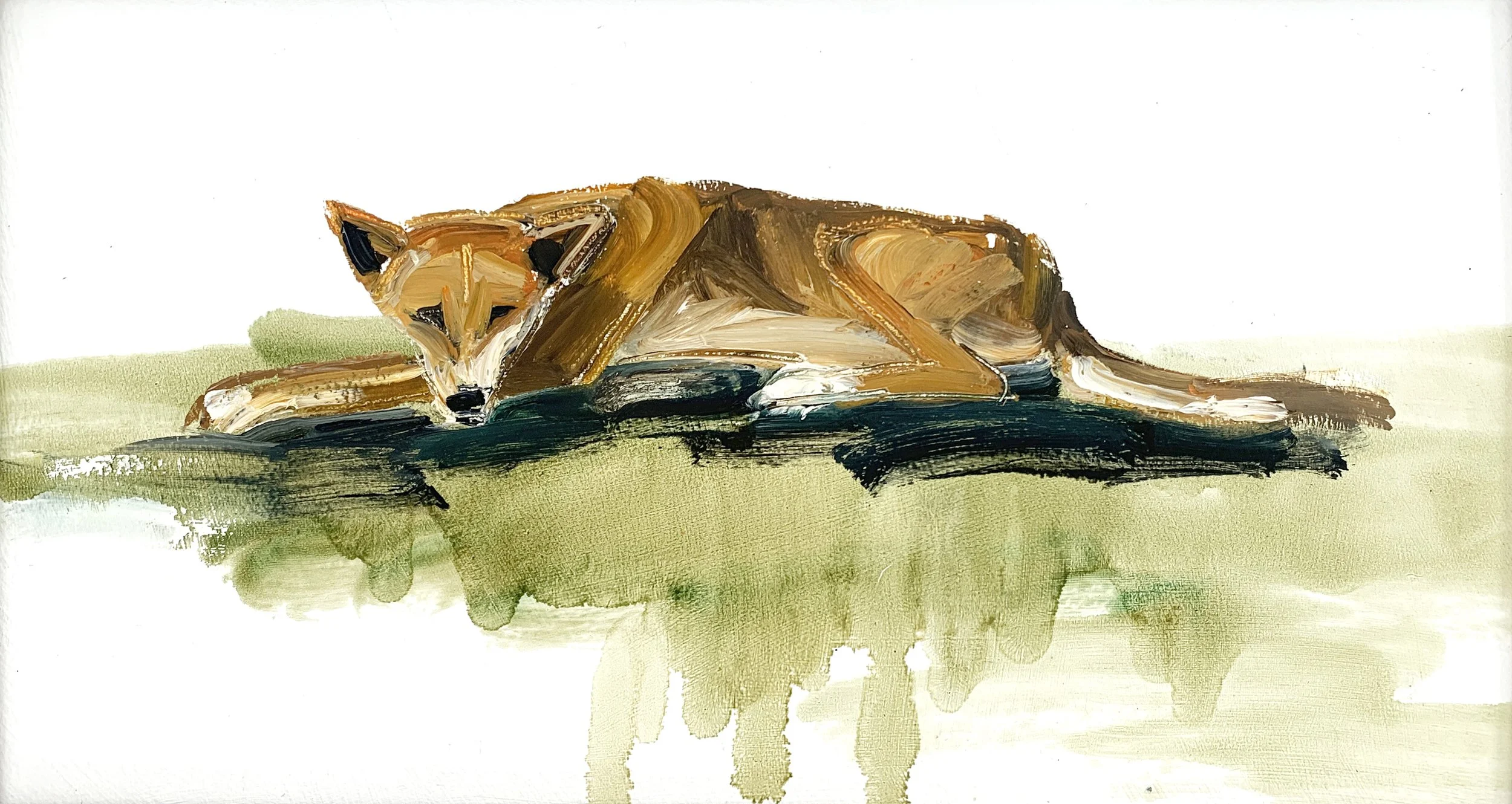 dingo 1 48x68cm.jpg