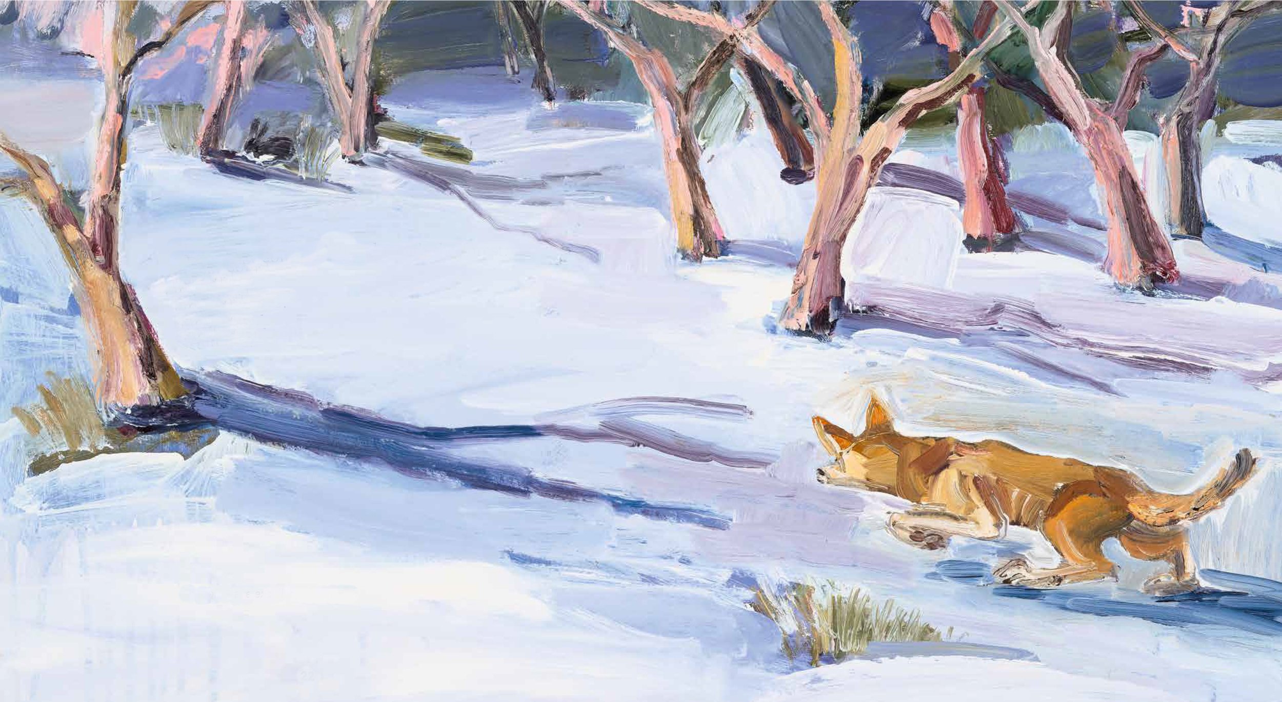 stalking dingo 58x84cm.jpg