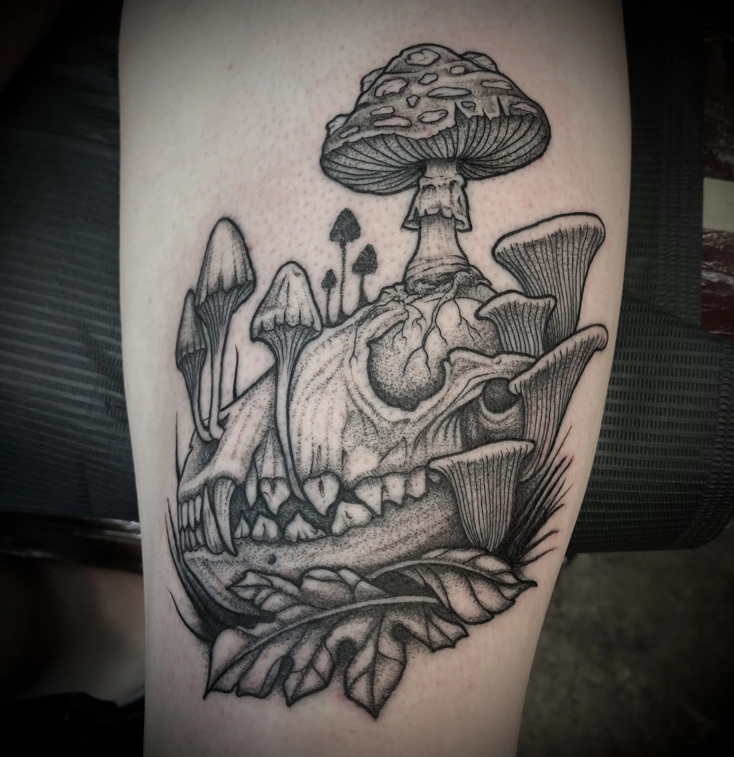 Chris - web photo 2.jpeg