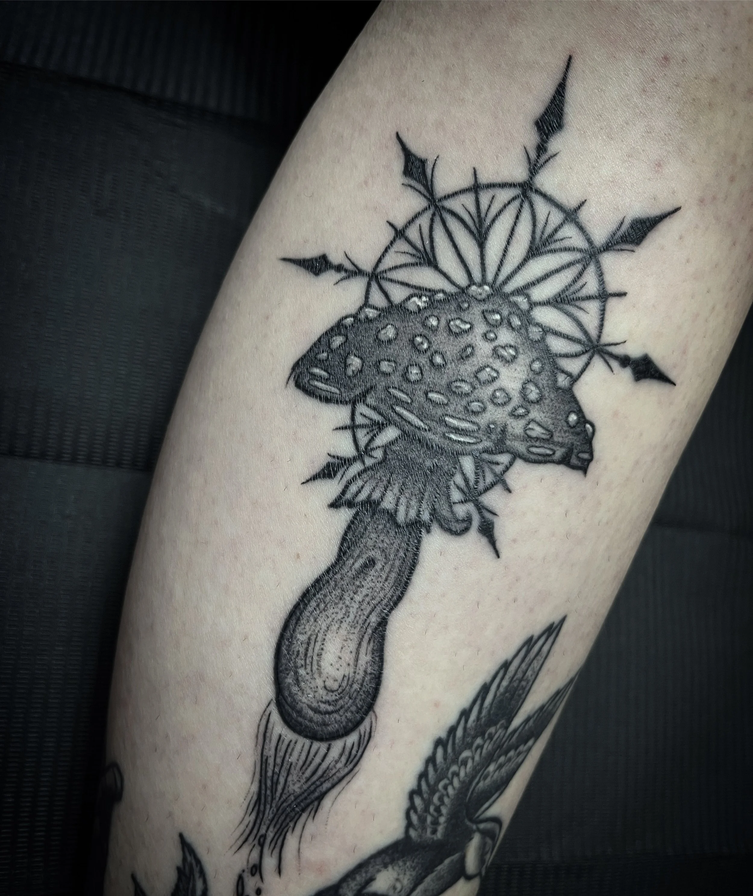 Chris - web photo 4.jpeg