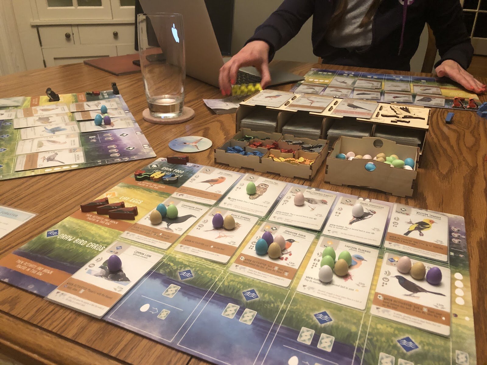 Playing Wingspan, a challenging and unique board game for nights when you're stuck at home