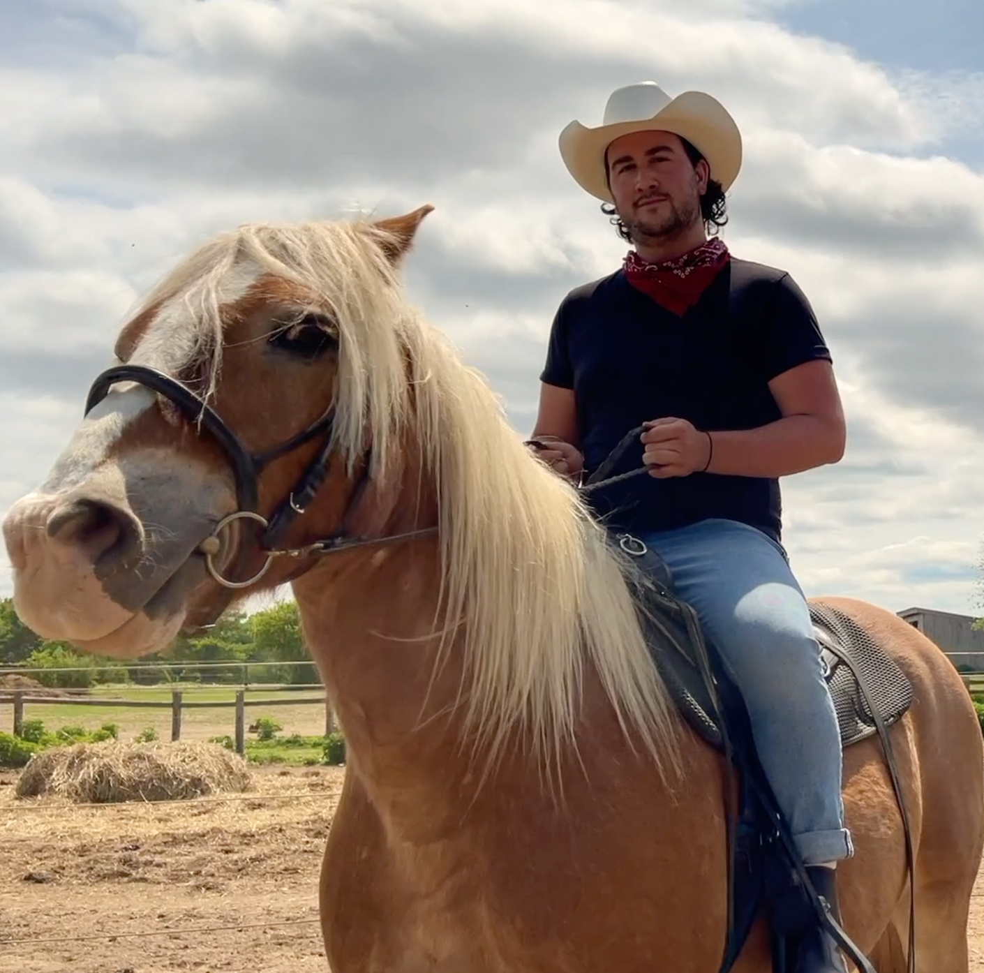 Cringe at the Fringe