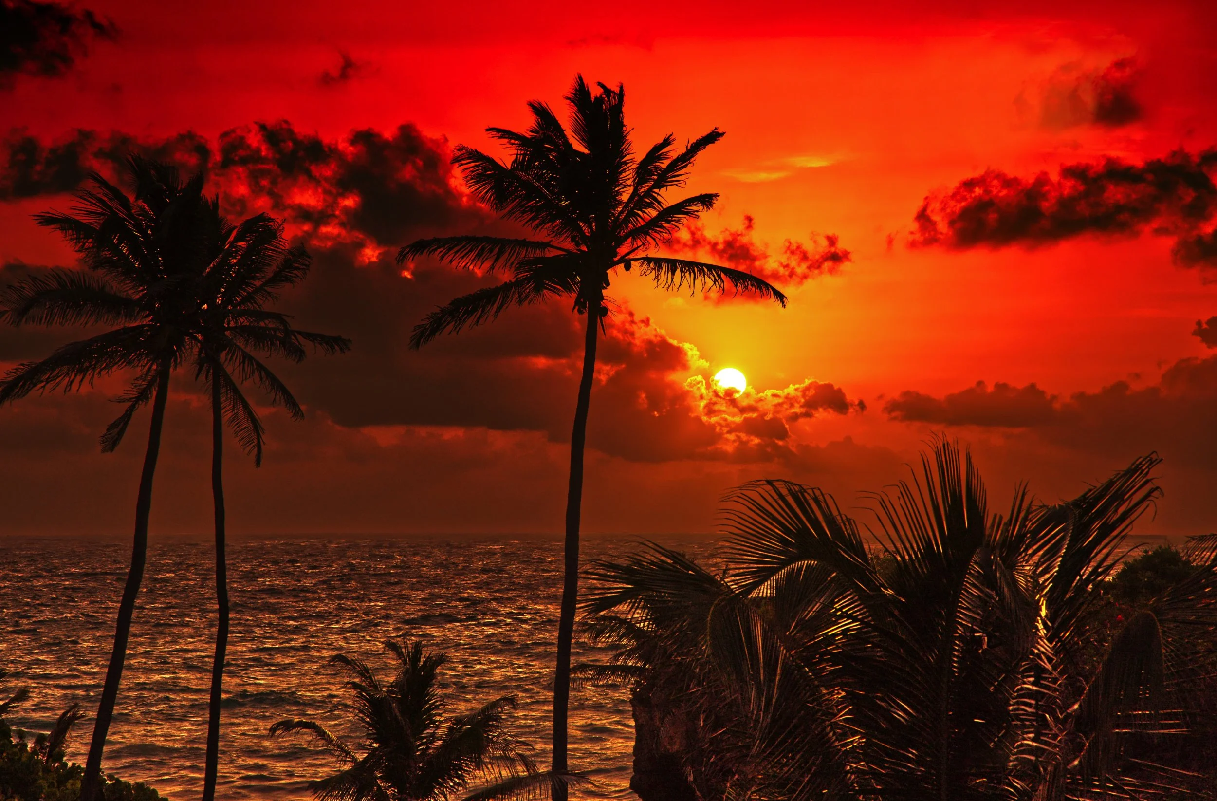 Bim picture perfect postcard Web.jpg