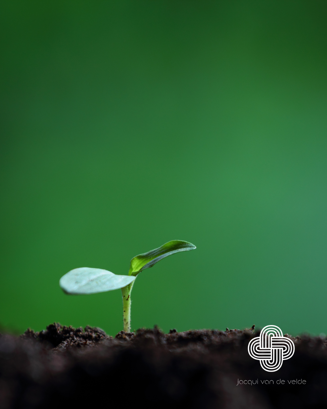 Resilience Coaching for Adults Initial Consultation