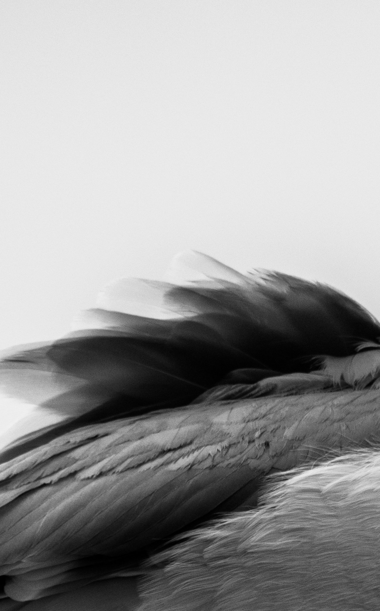 044_Hannele-Ruiz_VK_Temporal.jpg
