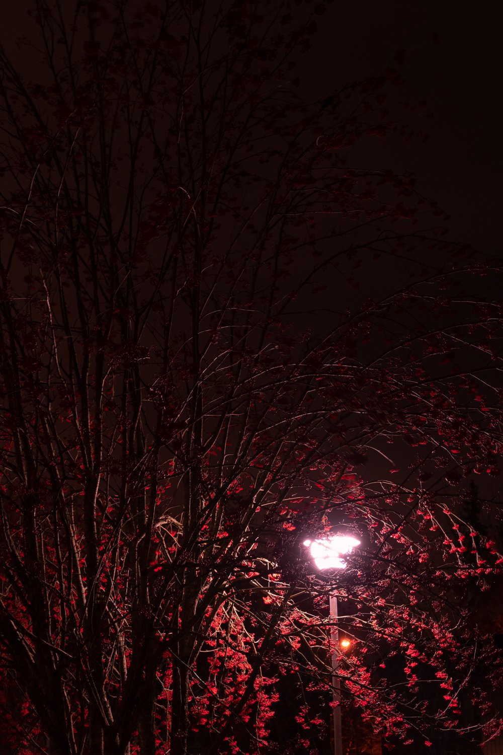 19_valokuvaus-squarespace_22.jpg