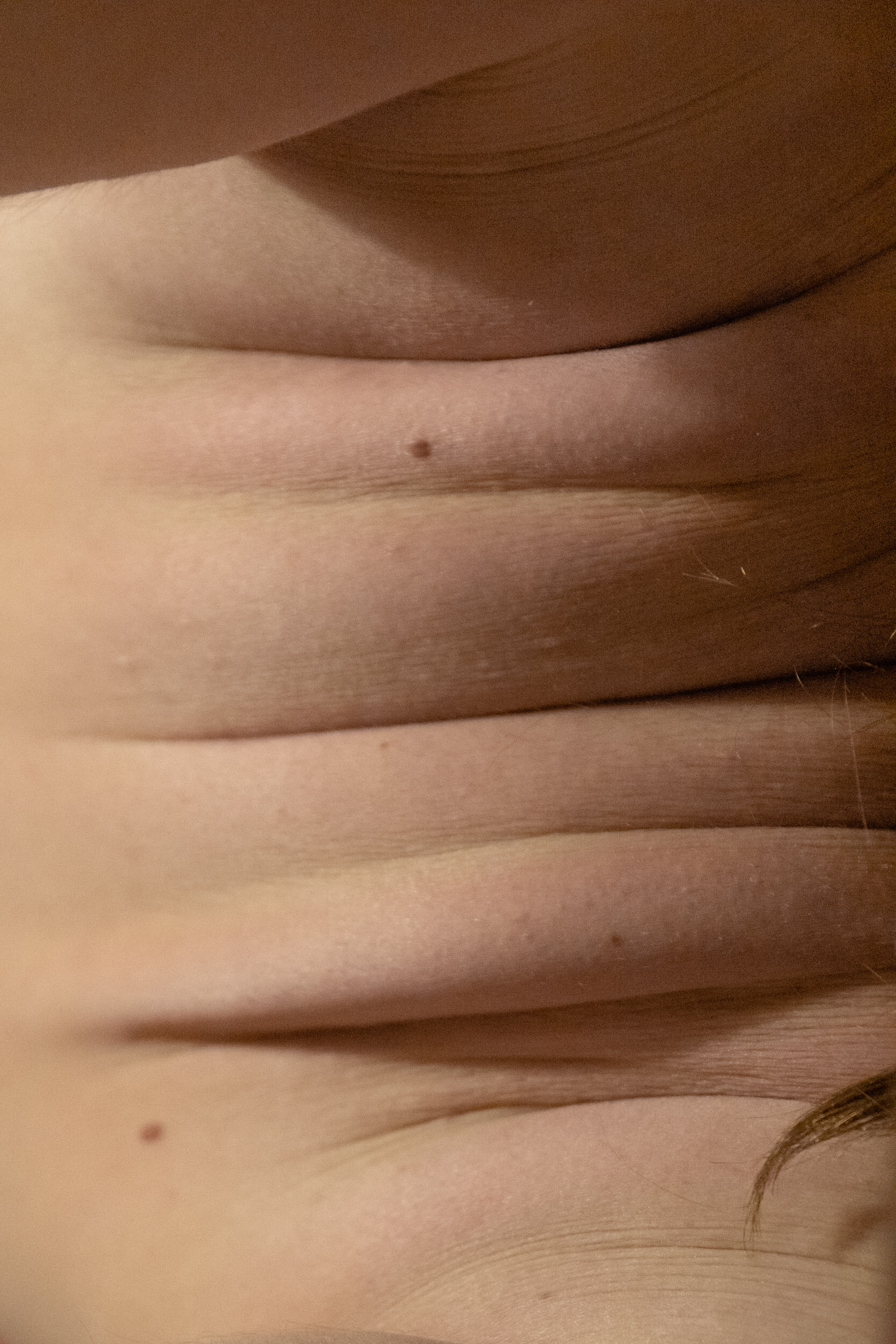 016_Linnea-teos.jpeg
