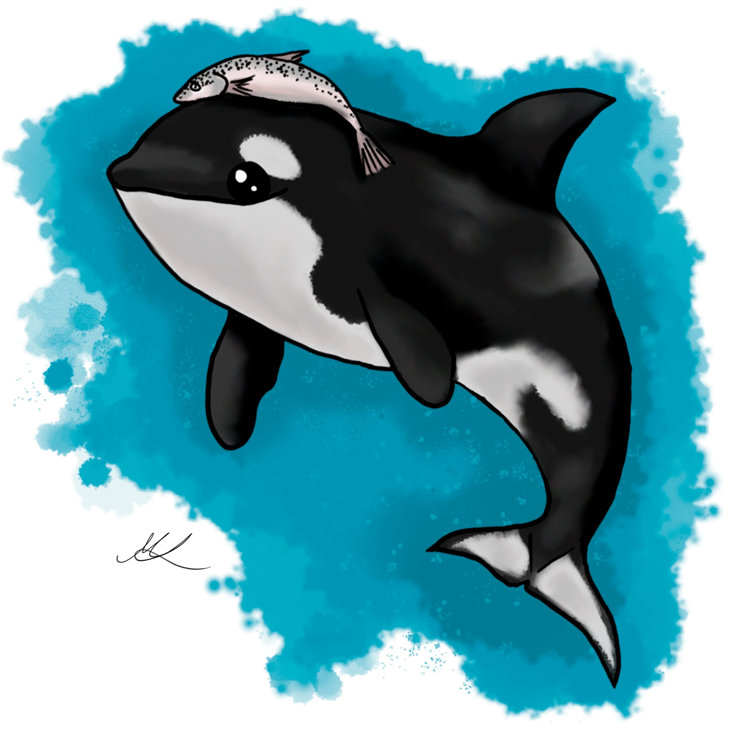 Kalahattu (Digitaalinen)