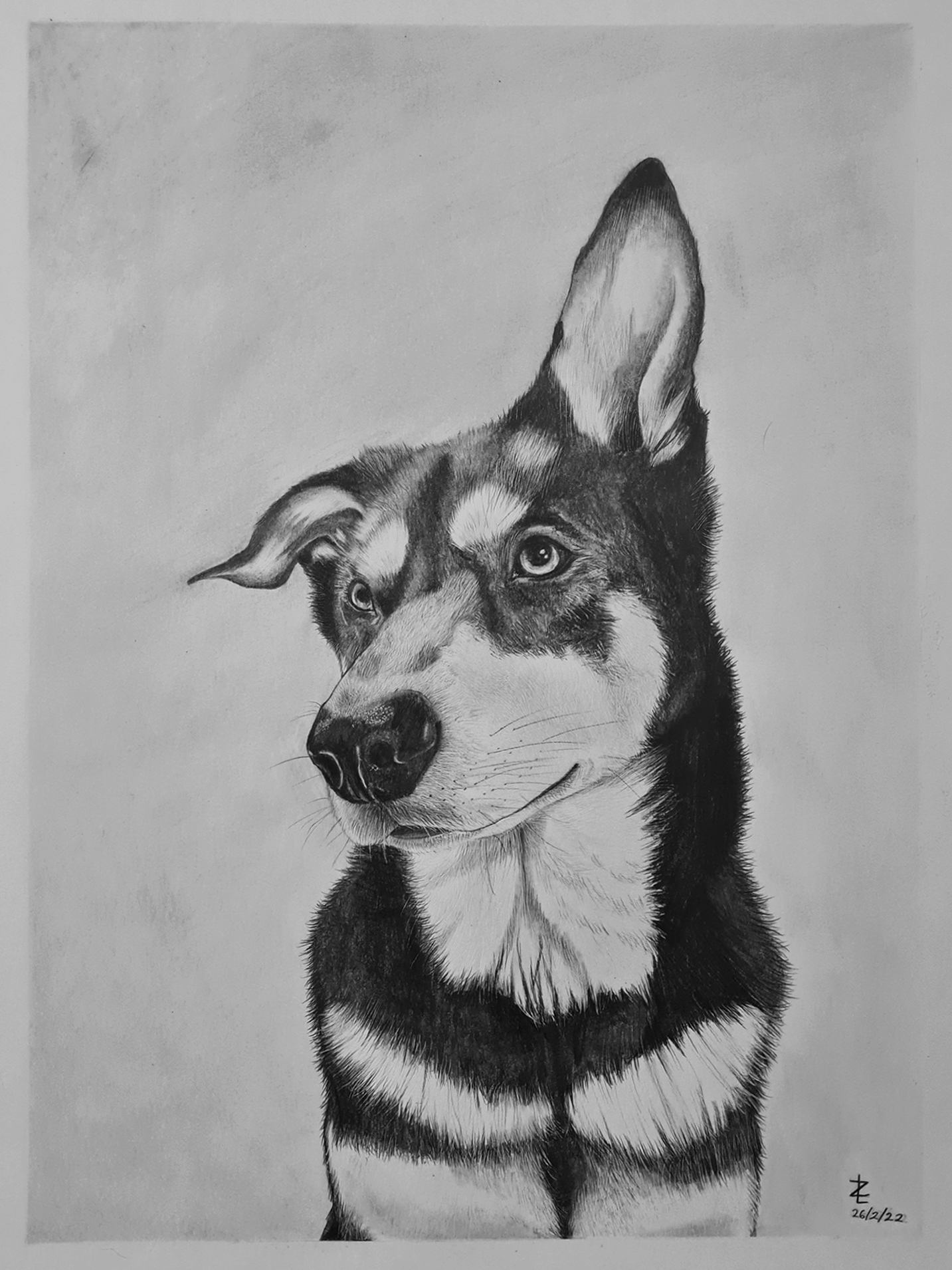 Commission, 2022, Pencil