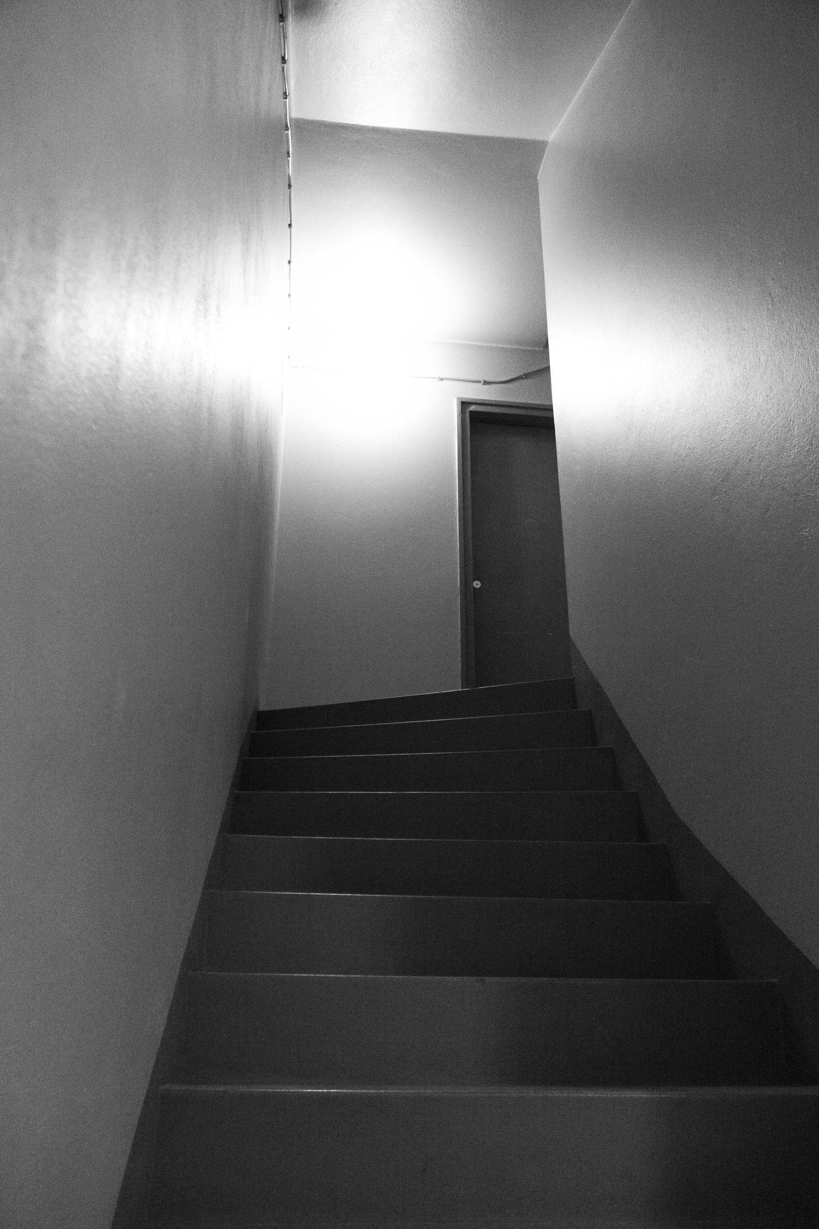 015_Linnea-teos.jpeg