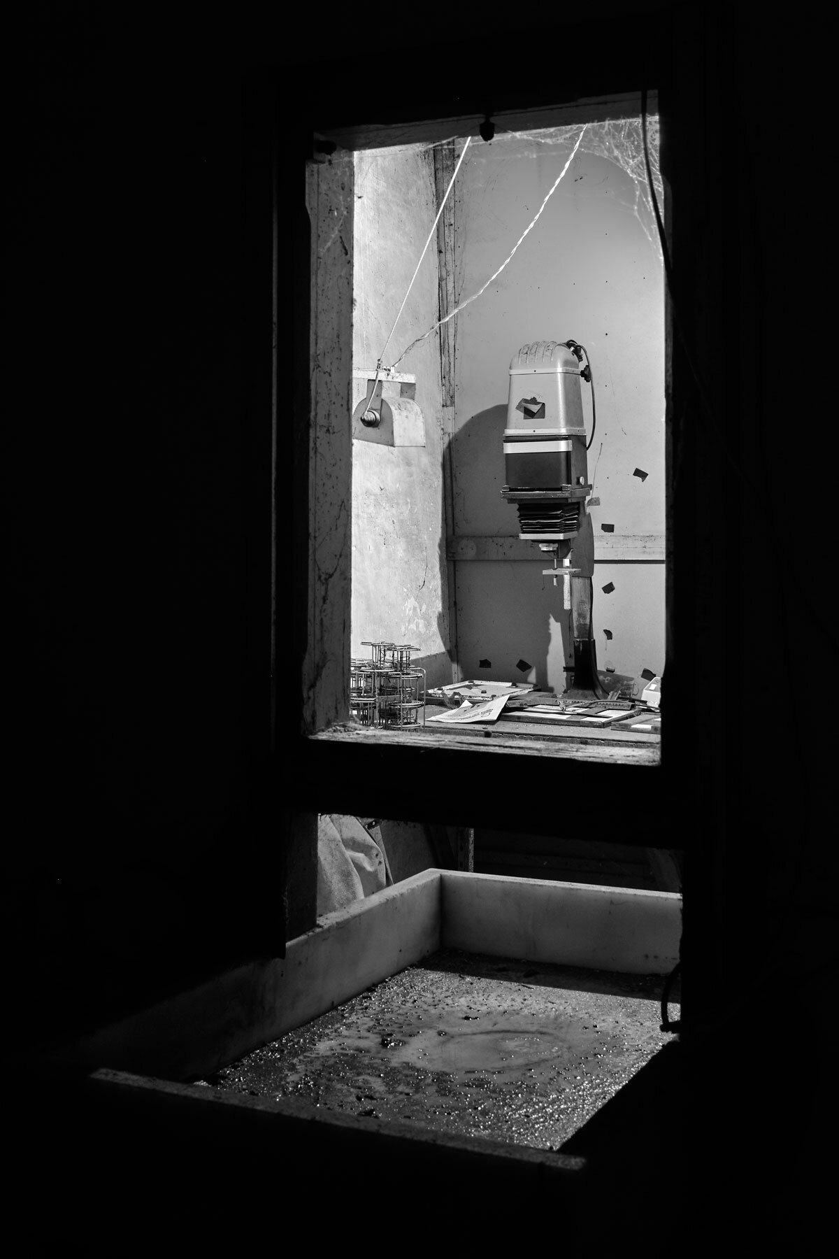 "Photographs open doors into the past, but they also allow a look into the future" Sally Mann