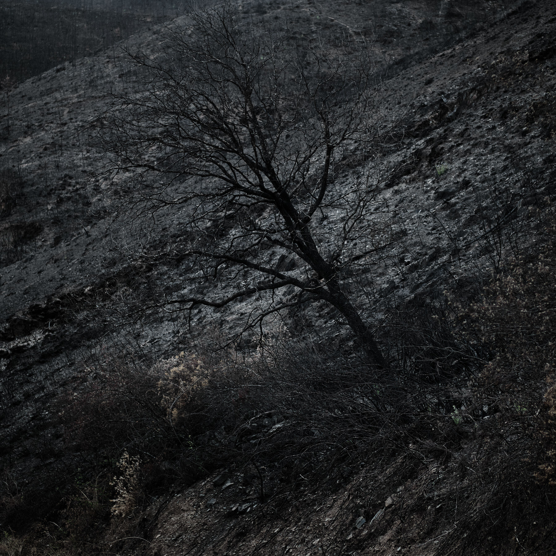  Window seen from Lerida Parador room. Lérida, Spain, 2019-03-19. 