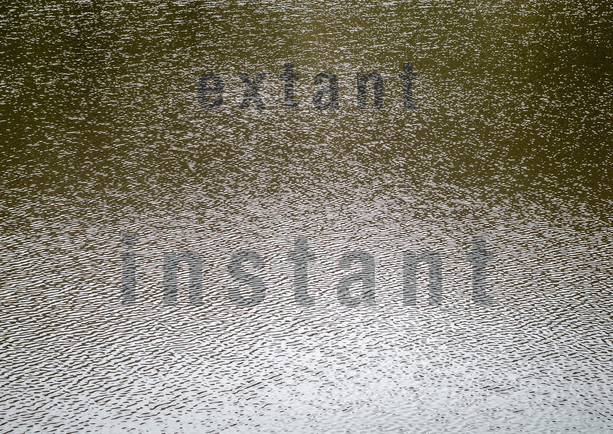 "Extant Instant"