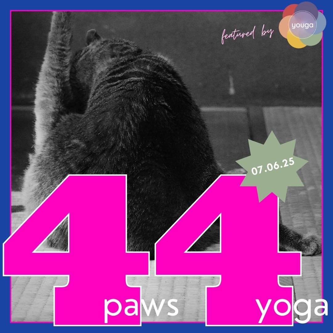 Yoga für den guten Zweck - 4paws4yoga