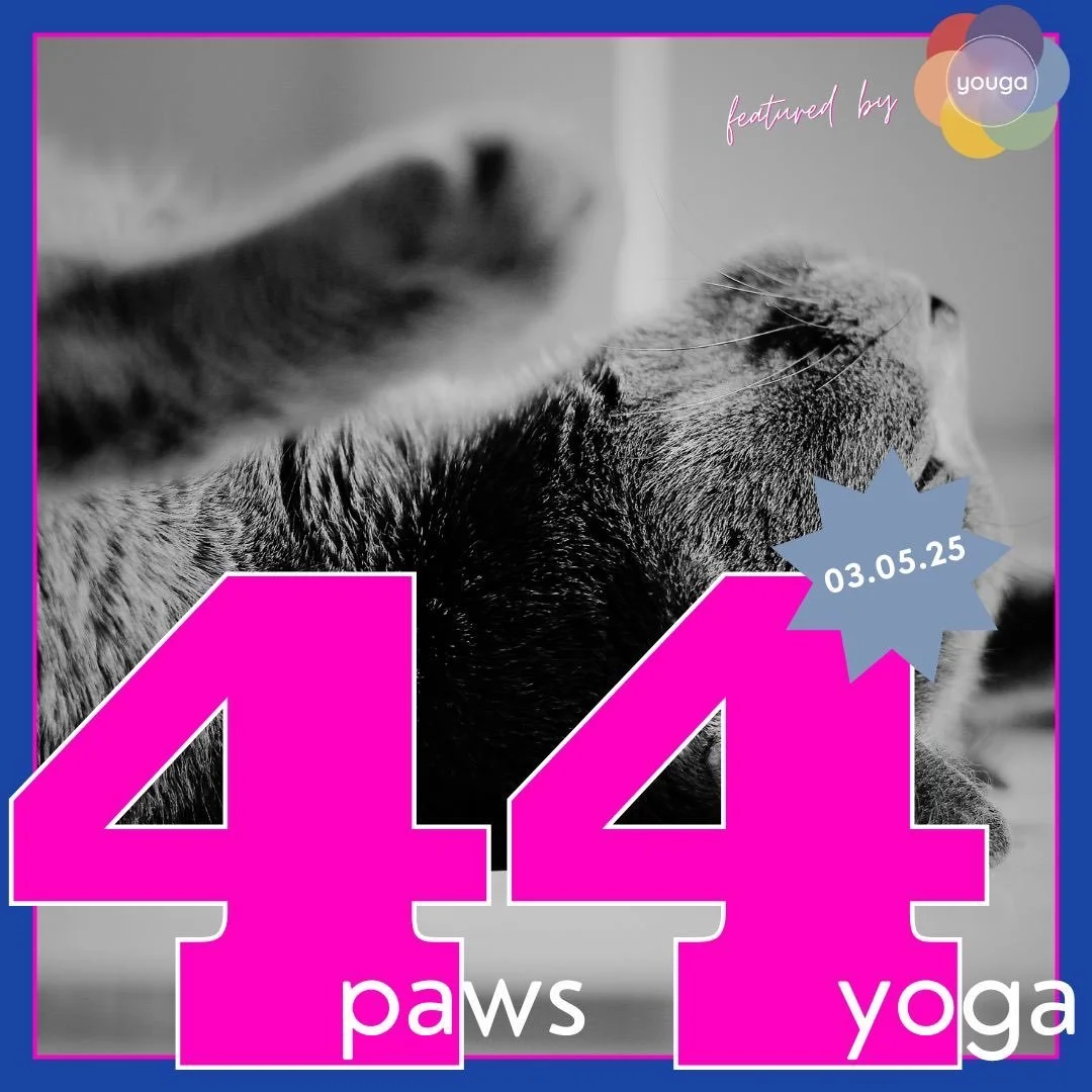 Yoga für den guten Zweck - 4paws4yoga