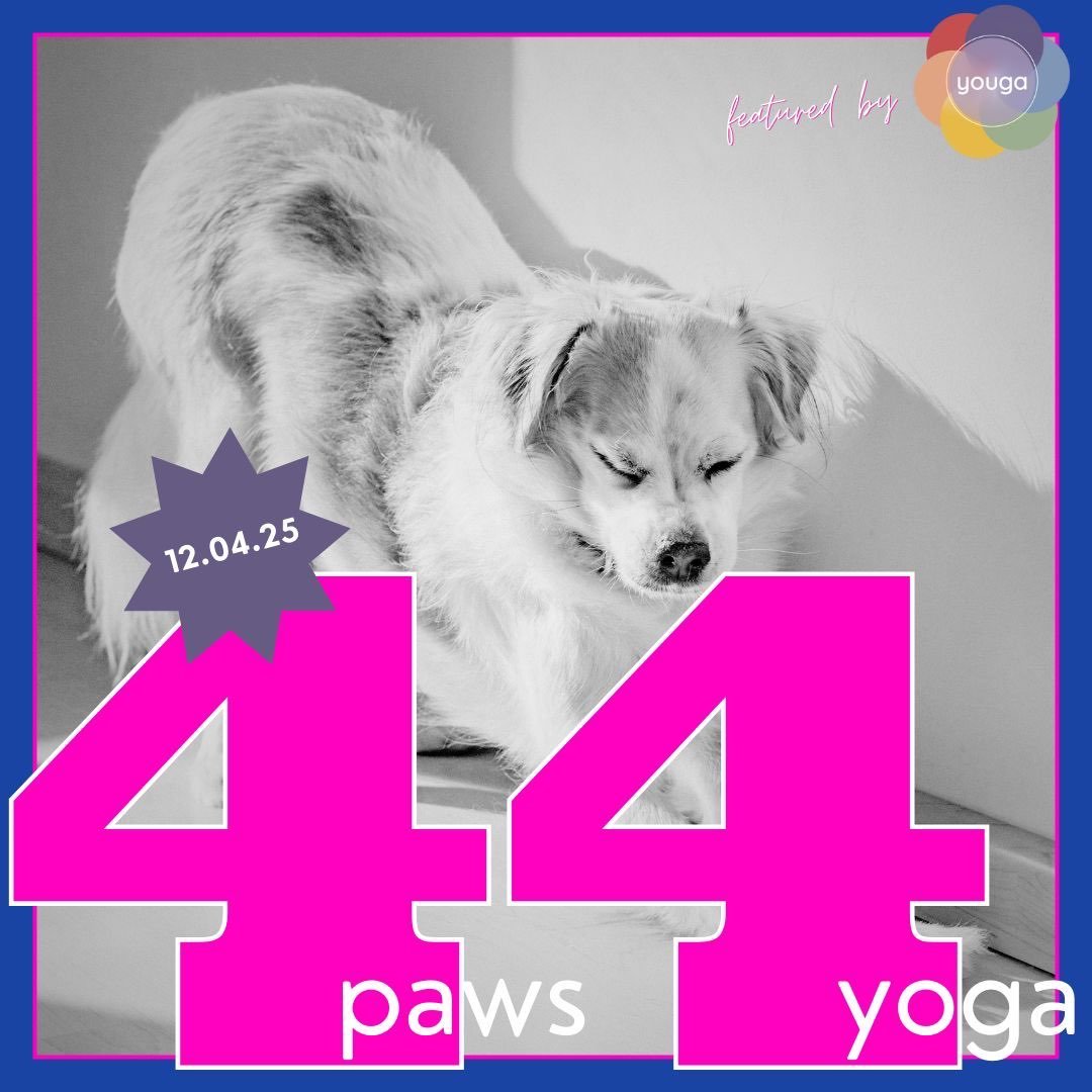 Yoga für den guten Zweck - 4paws4yoga