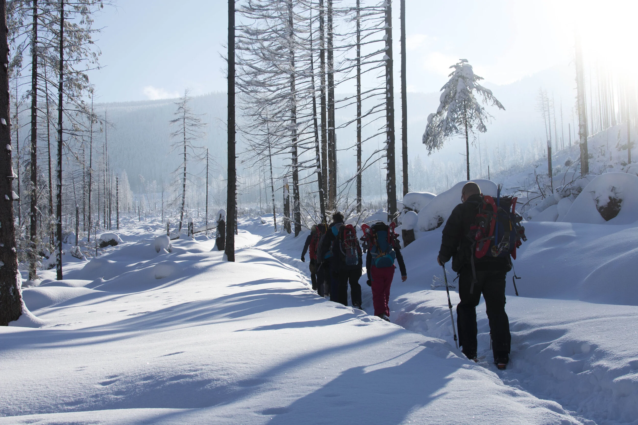 Trainees Poland compressed.jpg