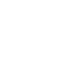 aala logo small.png