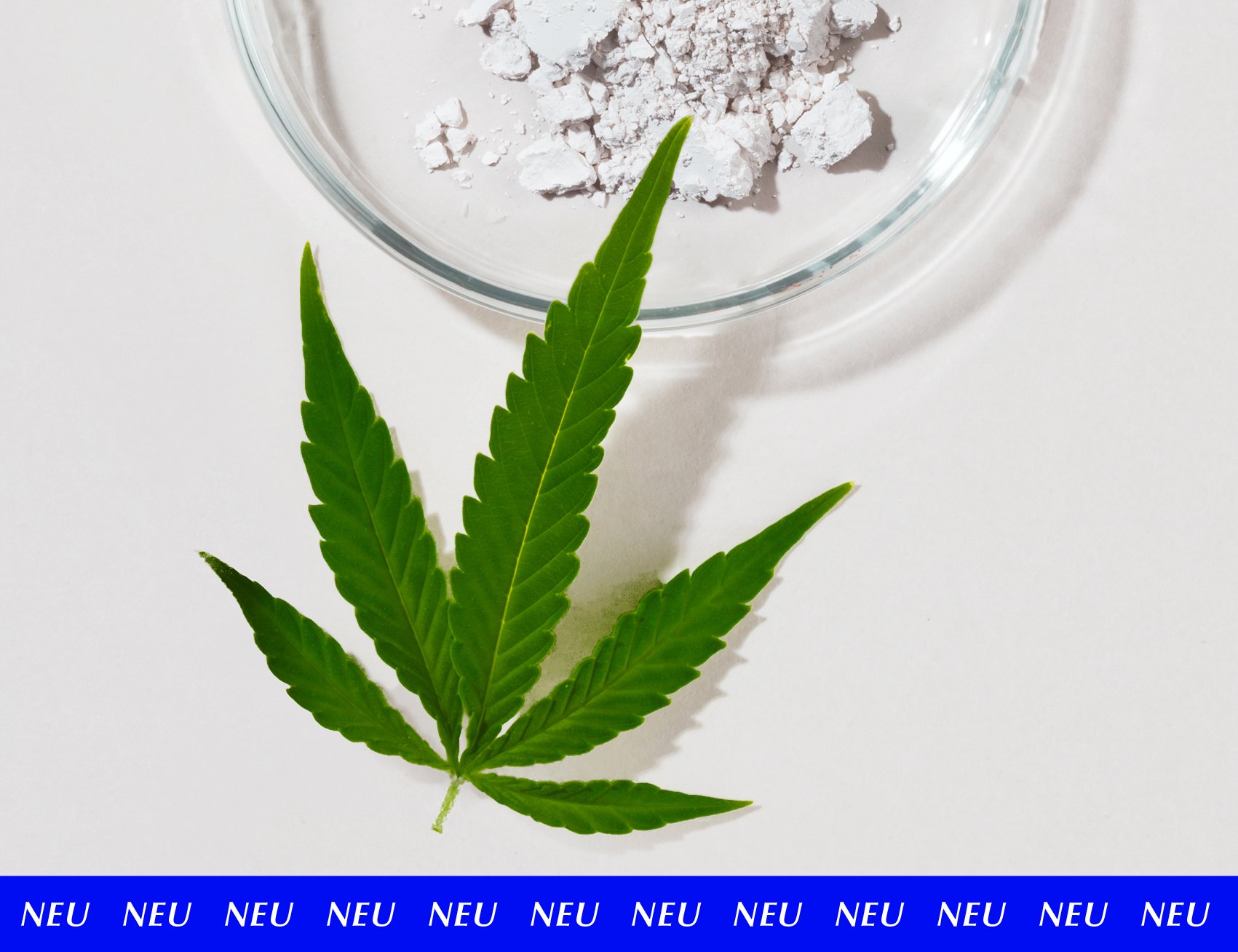CannRelief_Hero_mitNEU.jpg
