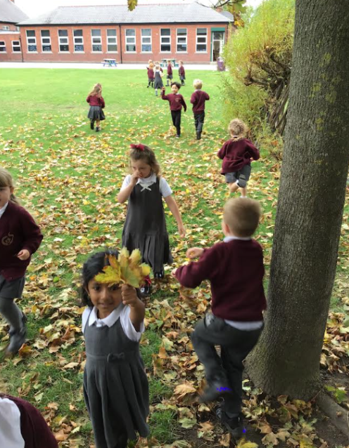 Screenshot 2026-02-19 10.44.29.png