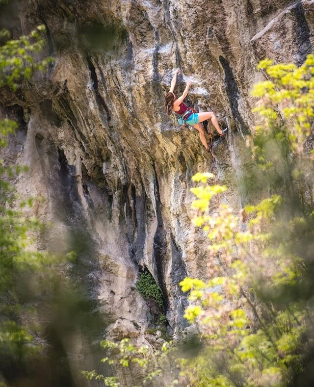 Skylotec Athlete Martina cruising on steep limestone in Arco, Italy,⁠
Shot on assignment for @skylotec⁠ ⁠
@martina_sch⁠
.⁠
.⁠
.⁠
.⁠
.⁠
.⁠
.⁠
.⁠
.⁠
.⁠
.⁠
.⁠
#Arco #italy #rockclimbing #escalada⁠
#climbing_photos_of_instagram #climbing⁠
#exploreeveryda