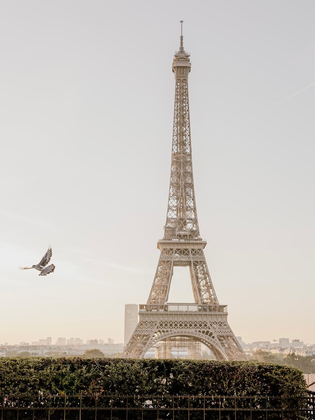 Roland Garros 2026 🧡 

48hours in Paris, iPhone snaps (except the first picture).