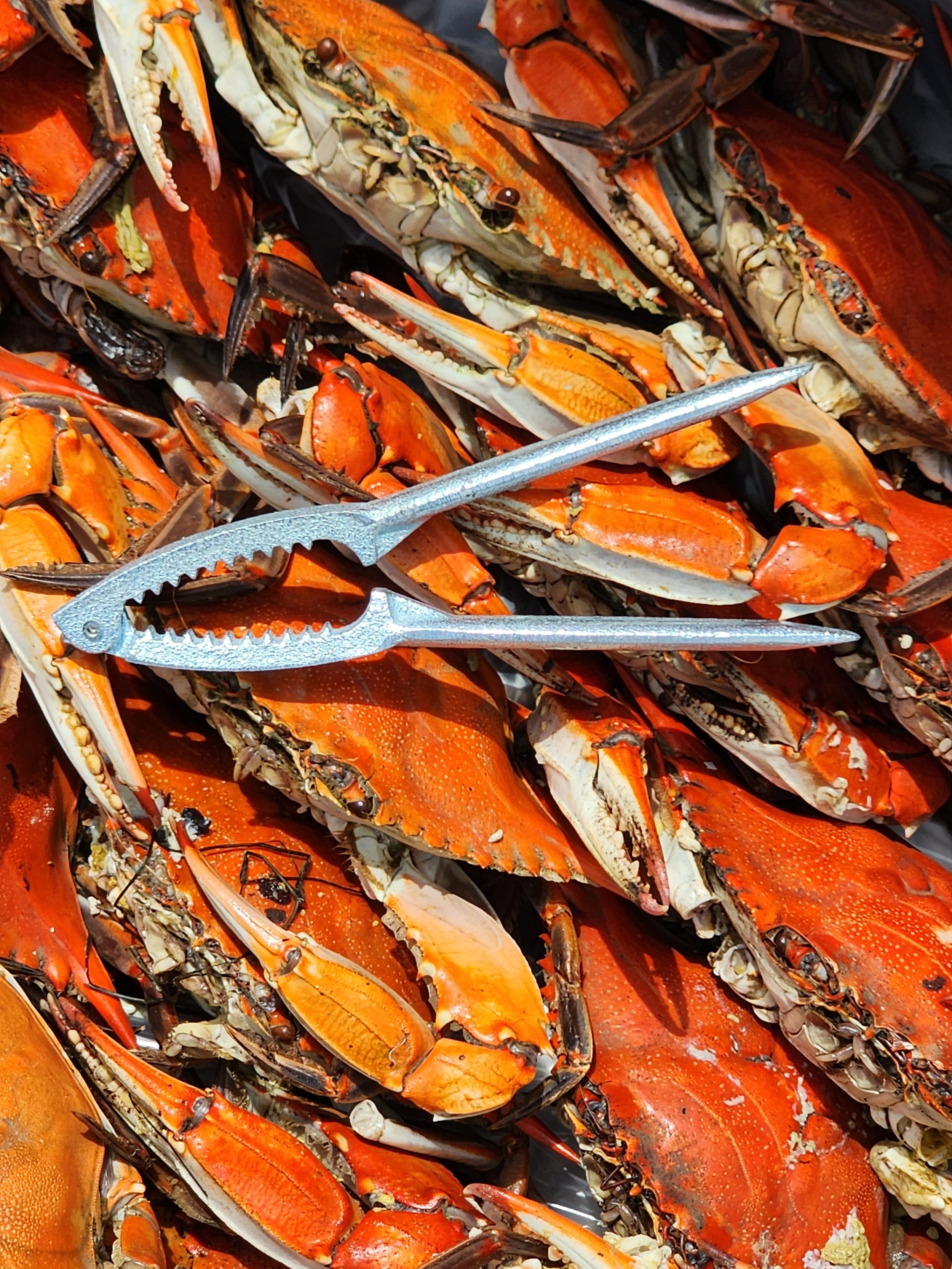 Crab Cracker