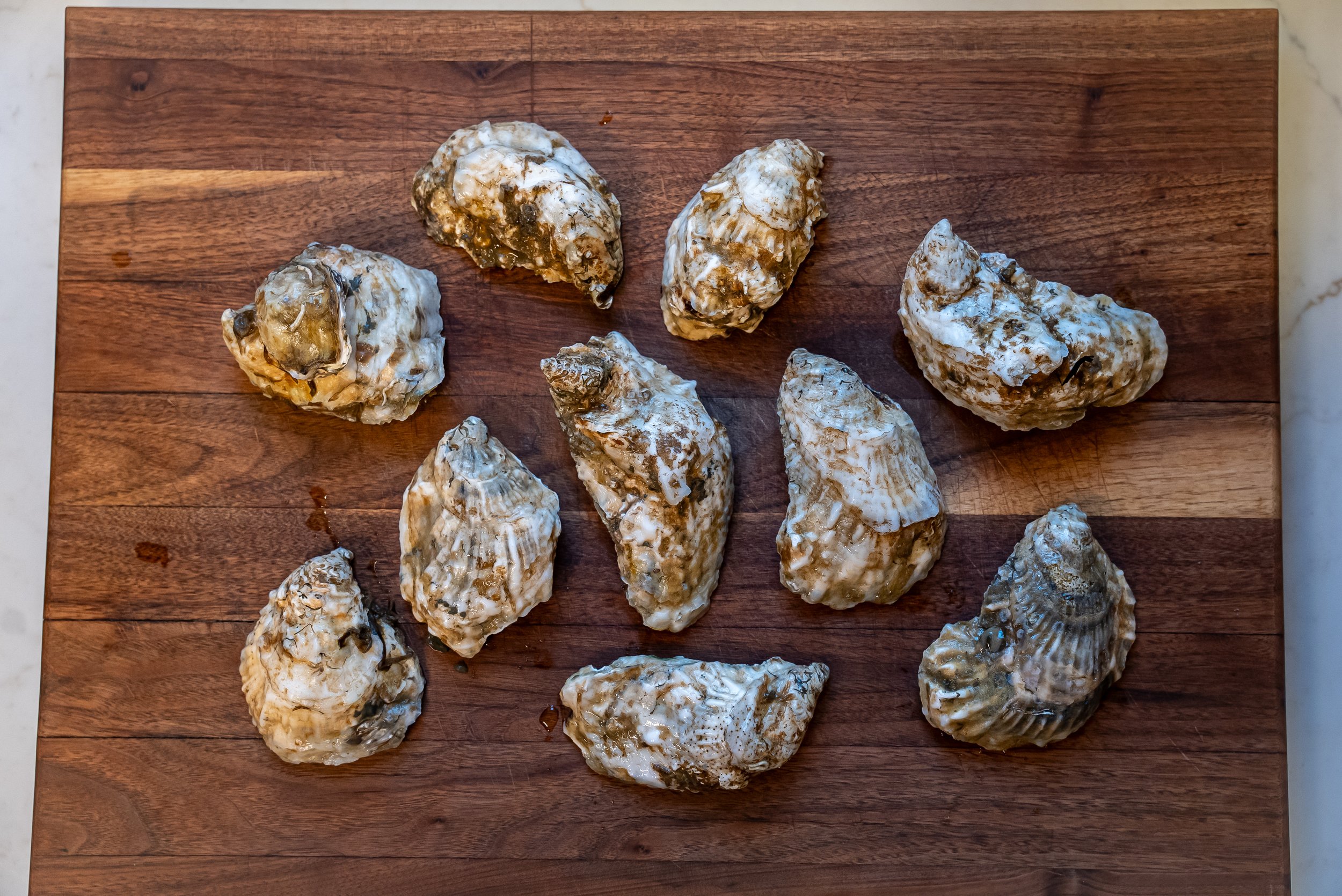 oysters.jpg