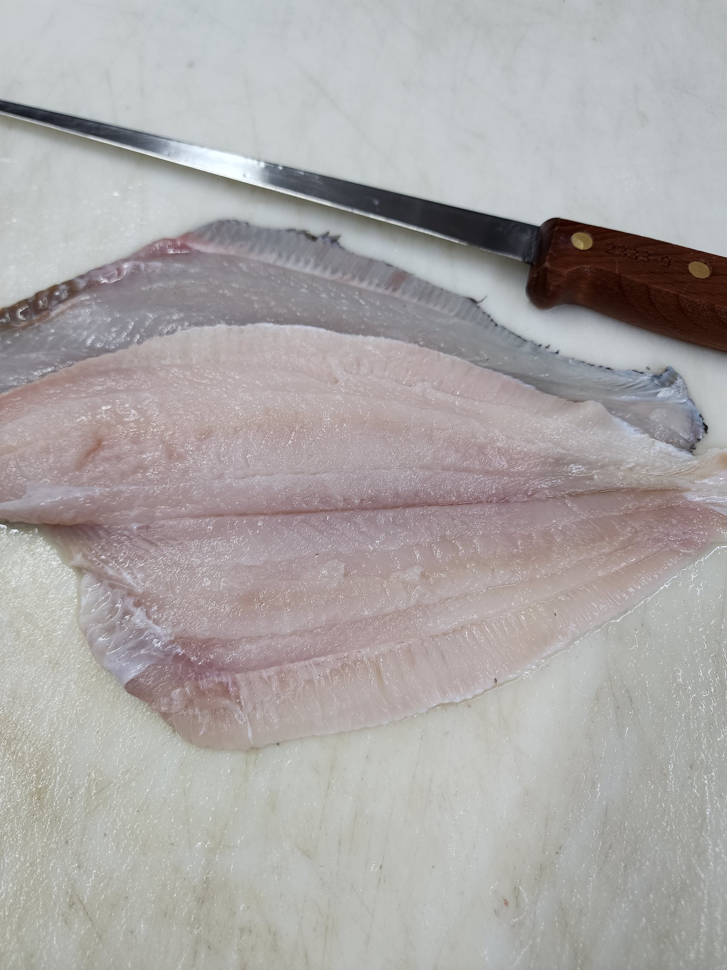 flounder raw1.jpg