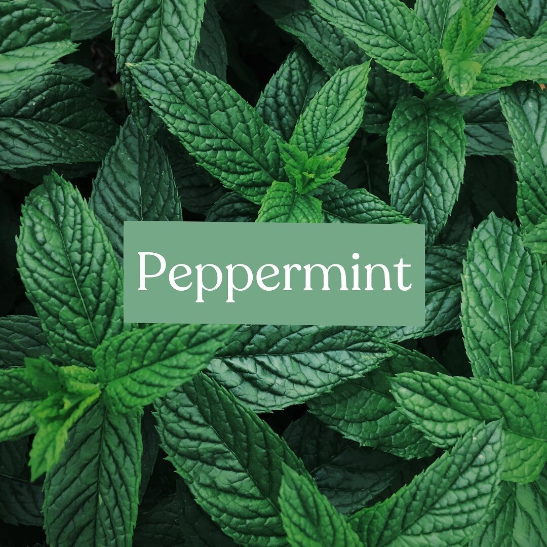 🌱 dōTERRA Peppermint Essential Oil (Mentha piperita)

🌿 Sourcing &ndash; most of our peppermint comes from the rainy Pacific Northwest of the USA where it grows abundantly ensuring a yield large enough to provide large quantities of this very popu