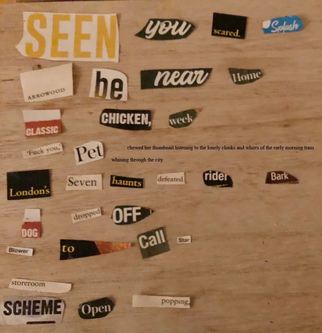  While I was editing this one in photoshop I accidentally pasted whatever was on my pasteboard: half a sentence from my novel. It wasn’t the most recent thing I copied onto my pasteboard - I have no idea why photoshop selected this excerpt out of all