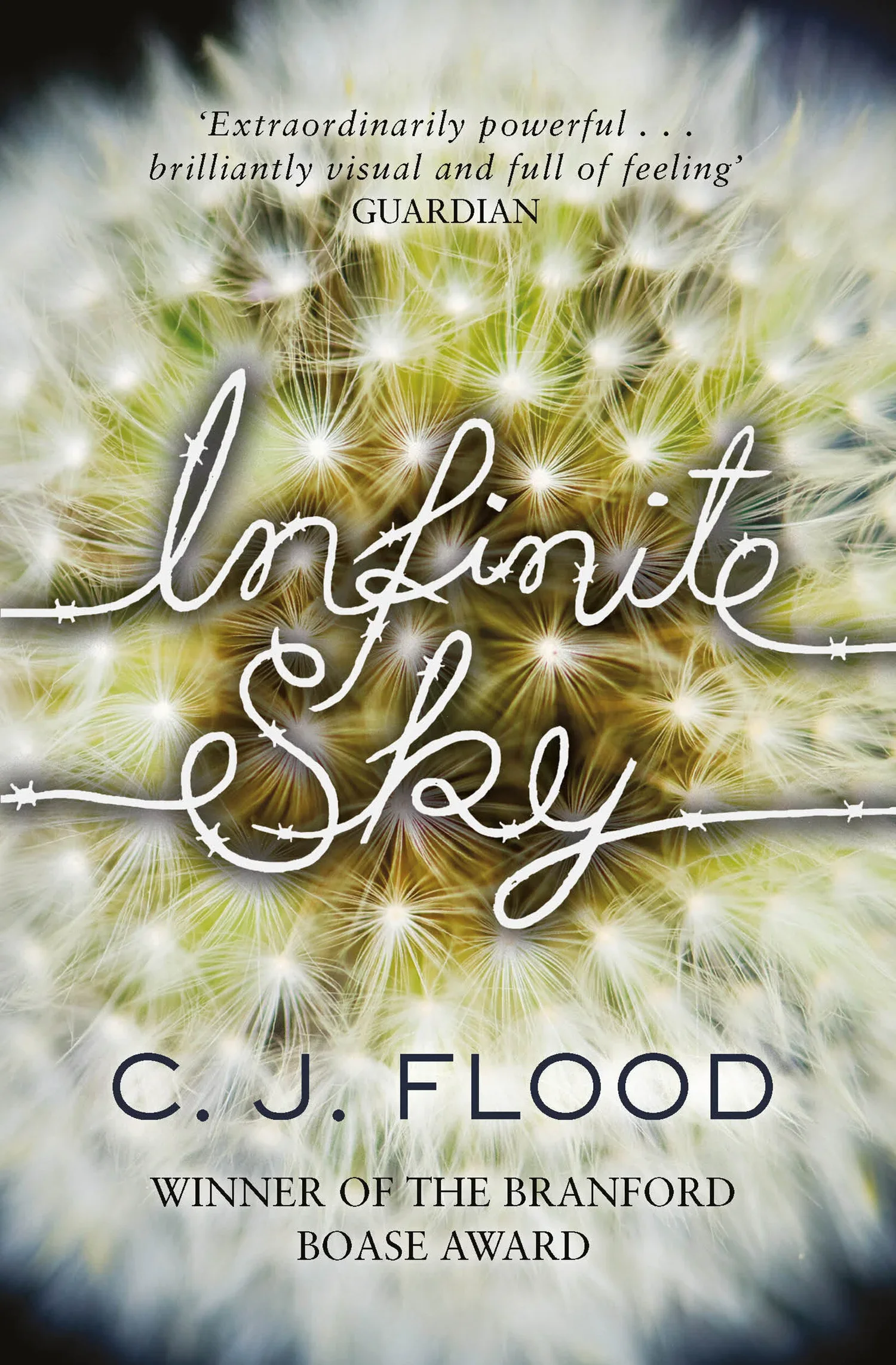 Author Interview: CJ Flood