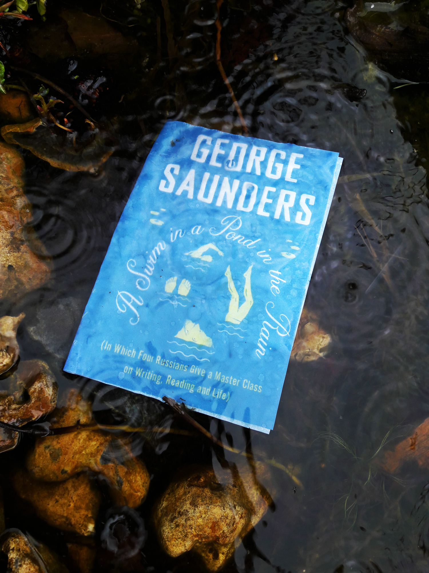 A Swim in a Pond in the Rain review